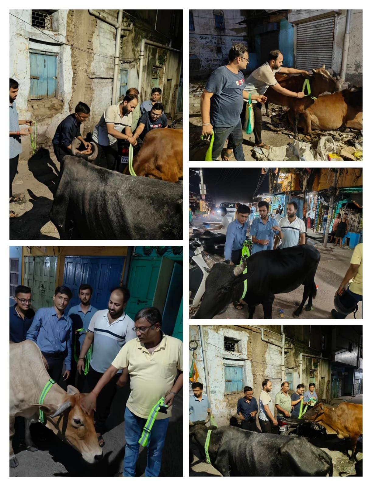 मारवाड़ी युवा मंच, झरिया शाखा द्वारा ‘जीव दया – गौ सेवा महाअभियान’ का शुभारंभ…