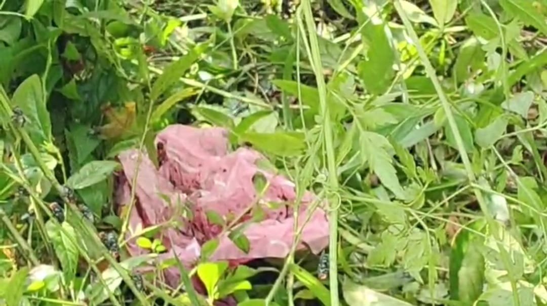 आसनसोल काली पहाड़ी के जंगल मे मिला नवजात शिशु का शव, नोंच कर खा रहे थे कुत्ते…