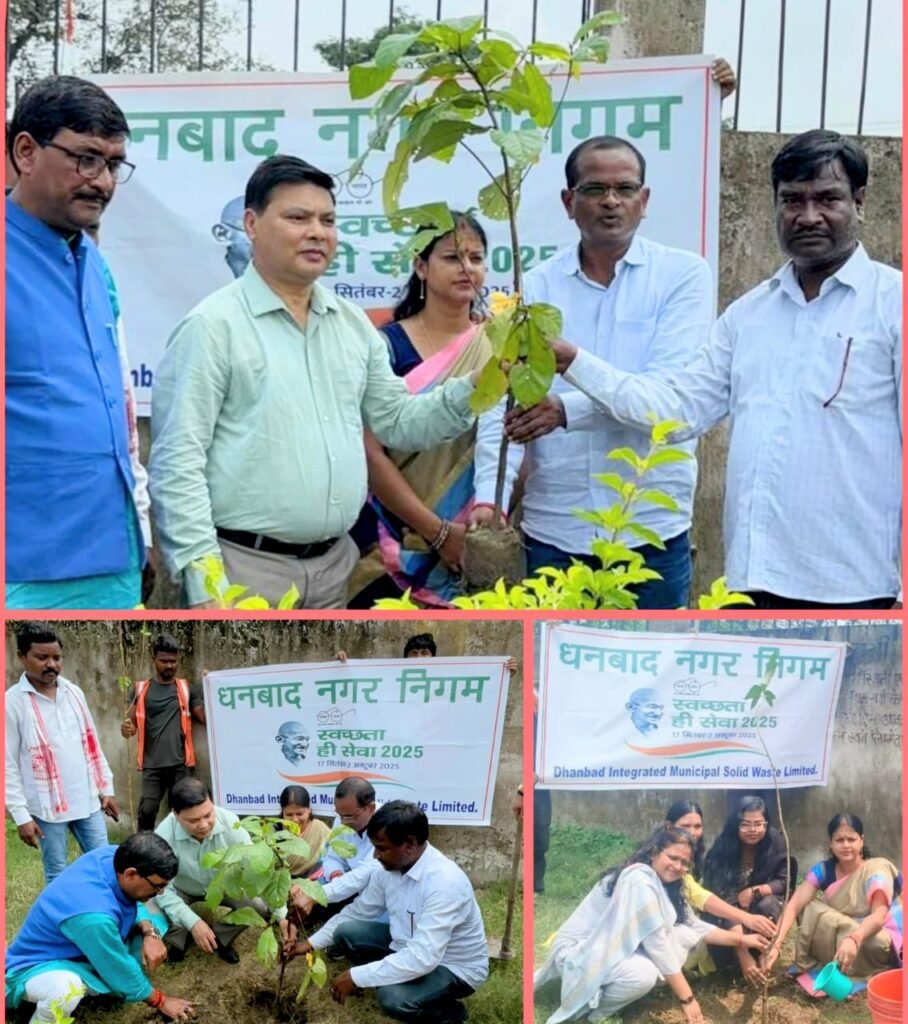 सेवा पखवाड़ा: एक पेड़ माँ के नाम..वृक्षारोपण कार्यक्रम सिंदरी में किया गया…