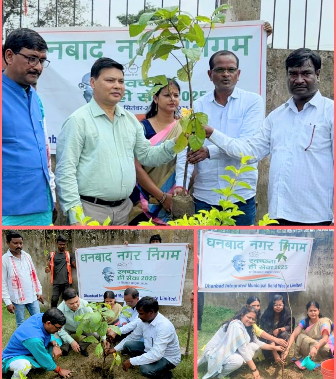 सेवा पखवाड़ा: एक पेड़ माँ के नाम..वृक्षारोपण कार्यक्रम सिंदरी में किया गया…