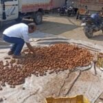 पटना में नकली आलू का भंडाफोड़: गेरुआ मिट्टी और केमिकल से बना रहे थे ‘नया आलू’; 2 ट्रक जब्त…