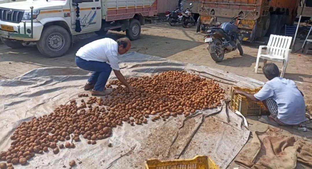 पटना में नकली आलू का भंडाफोड़: गेरुआ मिट्टी और केमिकल से बना रहे थे ‘नया आलू’; 2 ट्रक जब्त…