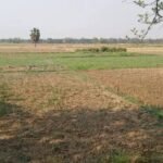 धनबाद में अब तक 2.5 फीसदी भूमि का हुआ क्रॉप सर्वे….