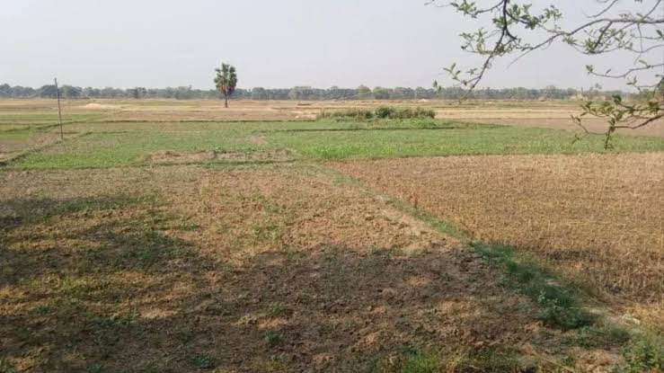 धनबाद में अब तक 2.5 फीसदी भूमि का हुआ क्रॉप सर्वे….