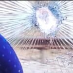 गोमो में वंदे भारत एक्सप्रेस पर पथराव, बाल-बाल बचा यात्री, रेलवे ने शुरू की जांच…