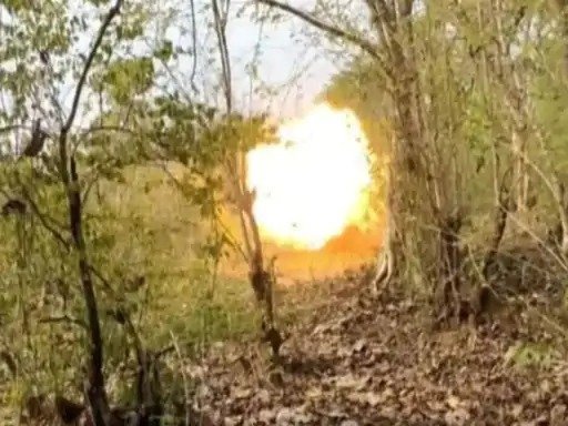 सारंडा जंगल में नक्सलियों का लगाया IED किया विस्फोटसियाल पत्ता चुनने गई 10 साल की बच्ची हुई शिकार, मौके पर ही तोड़ दिया दम…