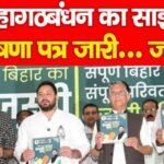 महागठबंधन का साझा घोषणा पत्र जारी…