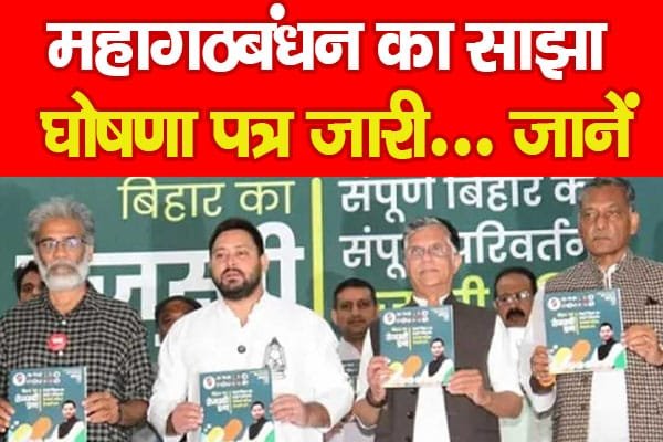महागठबंधन का साझा घोषणा पत्र जारी…