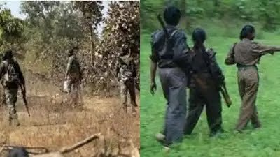 सारंडा जंगल में नक्सलियों का तांडव: आईईडी ब्लास्ट में CRPF इंस्पेक्टर घायल, पुलिया उड़ाई…