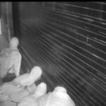 CCTV कैमरे मे कैद हुए नकाबपोश चोर… एक ही रात मे दो दुकानों मे दी थी चोरी की घटना… वीडियो वायरल…