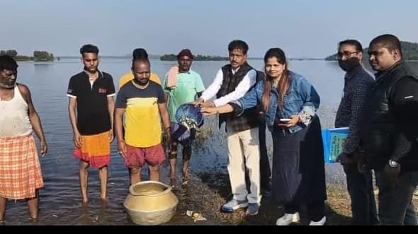 चल रहे दो दिवसीय कार्यक्रम के अंतर्गत मैथन डैम के रघुनाथपुर में छोड़ा गया मछली का अंगुलिकां…