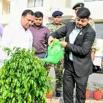 उपायुक्त ने किया समाहरणालय परिसर में पौधारोपण…