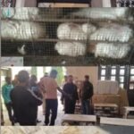 धनबाद में खरगोश के साथ क्रूरता व अवैध पशु तस्करी मामले में पीपुल्स फॉर एनिमल्स की अध्यक्ष मेनका गांधी ने लिया संज्ञान..प्रशासन से जांच कर कार्रवाई की मांग….