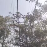 बड़े हादसे को दावत दे रही गिरजामोड़ स्थित 11 हजार वोल्ट की यह विधुत पोल…