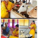 झरिया विधायक रागिनी सिंह ने श्री गंगा गौशाला पहुंच किया गौ पूजन…