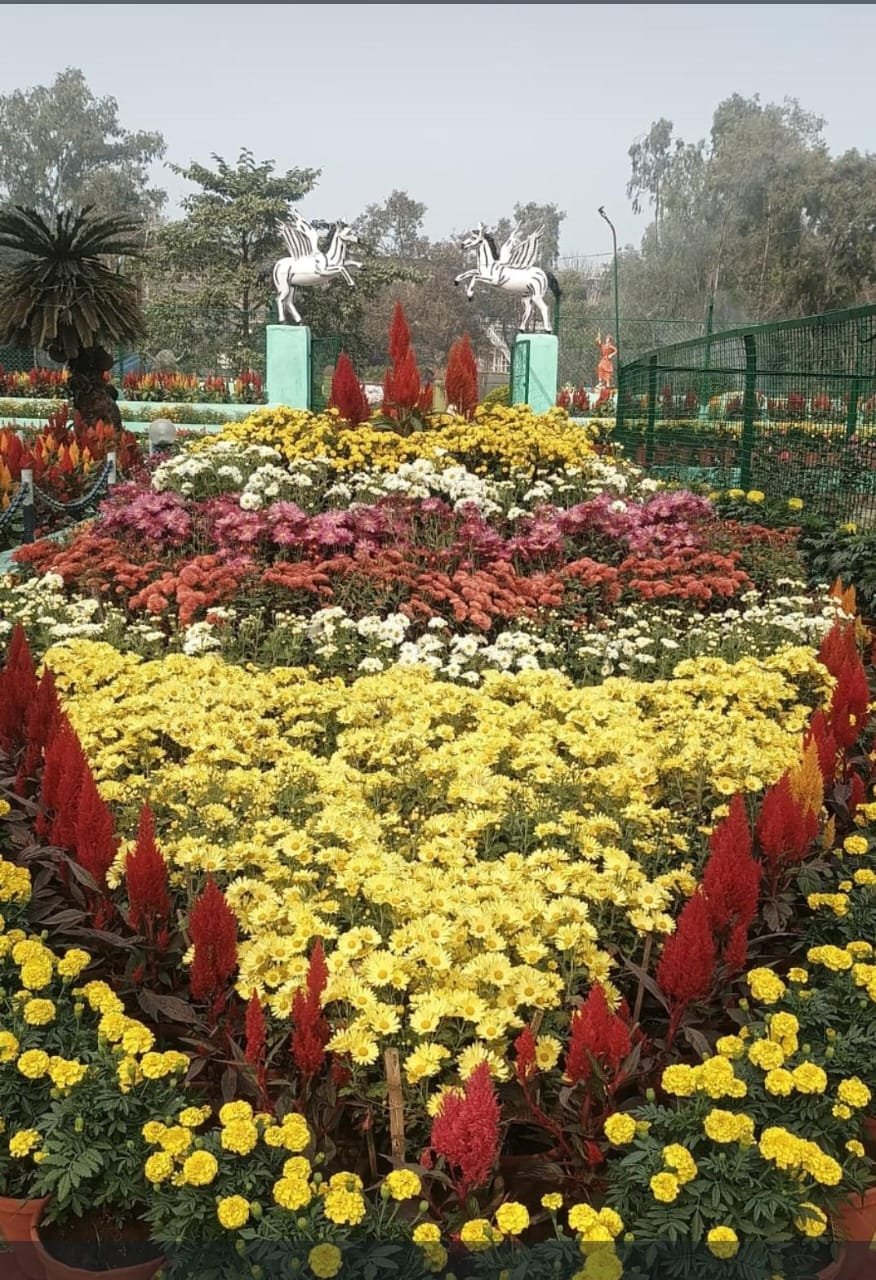 मनमोहनी अंदाज में सजी मैथन डैम पर फूलों की बगिया…