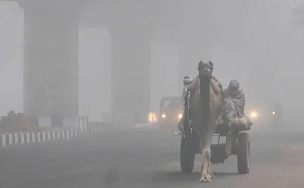 राजस्थान में बढ़ी ठंड, कई जिलों में शीतलहर के साथ हल्की बारिश का अनुमान…