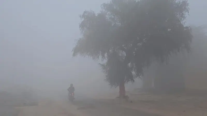 26 जनवरी को झारखंड में बदलेगा मौसम, सुबह कोहरा तो दिन में साफ रहेगा आसमान…