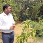 धनबाद में हरित क्रांति: जय धरती माँ फाउंडेशन की अनोखी पहल…