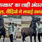 छोटे सरकार’ का शाही अंदाज फिर वायरल, वीडियो ने मचाई सनसनी…