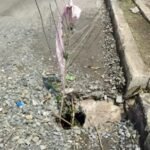 झारखंड की 8 लेन सड़क फिर धंसी, हल्की बारिश में खुली मरम्मत की पोल..