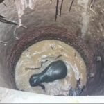 कुएं में गिरा जंगली हाथी, रेस्क्यू ऑपरेशन जारी…