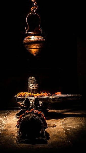 काशी से आए शिवलिंग की सिंदरी शिव मंदिर में 2 मई को होगी पुनर्स्थापना….