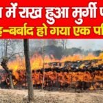 आग में राख हुआ मुर्गी फार्म, तबाह-बर्बाद हो गया एक परिवार…