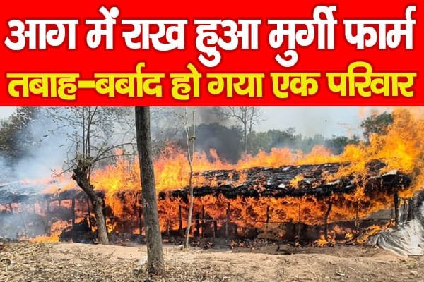 आग में राख हुआ मुर्गी फार्म, तबाह-बर्बाद हो गया एक परिवार…