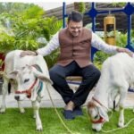 महाराष्ट्र सरकार का बड़ा फैसला: गौ तस्करी पर अब लगेगा मकोका, संगठित गिरोहों पर सख्त कार्रवाई…