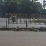 कुल्टी में अवैध कोयला तस्करी का वीडियो वायरल, सिलिकेट फैक्ट्री पर उठे सवाल
