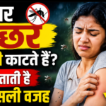 बार-बार मच्छर आपको ही काटते हैं? साइंस बताती है इसकी असली वजह