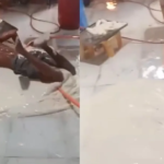 सोया चाप के मैदे में लेटकर नहाता दिखा युवक, वायरल वीडियो से मचा हड़कंप; खाद्य विभाग ने कही ये बात