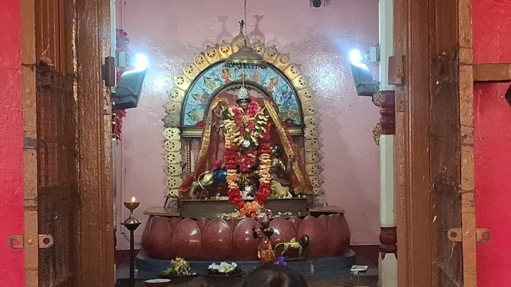 Pakur News: श्रद्धा और भक्तिभाव के साथ संपन्न हुई मां विपत्तारिणी पूजा, मंदिरों में उमड़ी श्रद्धालुओं की भीड़