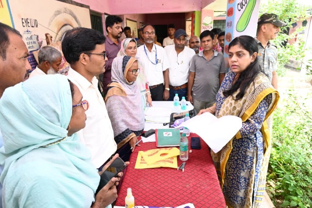 Pakur News: मतदाता सूची को शत-प्रतिशत त्रुटिरहित बनाने पर जोर, डीसी मेघा भारद्वाज ने किया बूथों का निरीक्षण