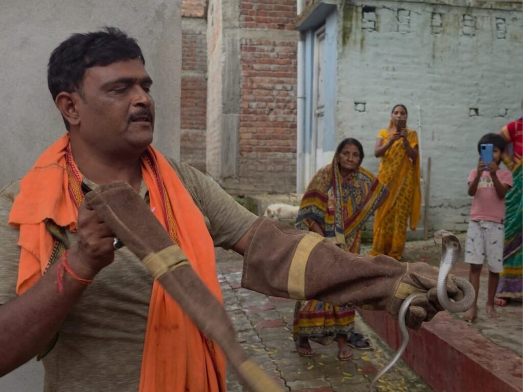 Jamui News: सोशल मीडिया बना जीवन बचाने का माध्यम, स्नेक कैचर बंटी सिंह ने 1000 से अधिक सांपों का किया सुरक्षित रेस्क्यू