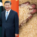 चीन को चावल निर्यात बढ़ाने की तैयारी में पाकिस्तान, भारत को मिल सकती है चुनौती