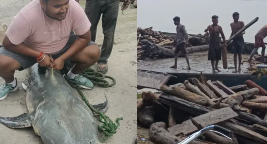नेपाल की बाढ़ का असर भारत में, गंडक नदी में बहकर आए गैस सिलिंडर और सामान