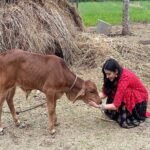 Malvika Sharma Beef Question: अभिनेत्री से बीफ पर सवाल को लेकर अनिल खेमका ने जताई आपत्ति