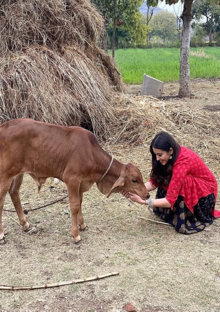 Malvika Sharma Beef Question: अभिनेत्री से बीफ पर सवाल को लेकर अनिल खेमका ने जताई आपत्ति