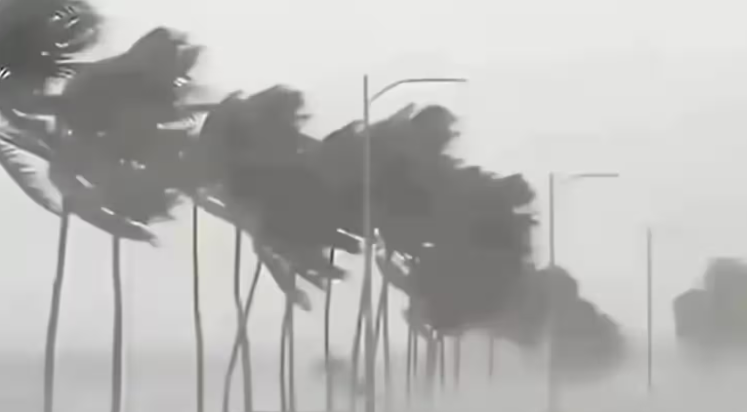 Weather Alert: 9 सितंबर को 21 राज्यों में भारी बारिश का अलर्ट, आंधी और बिजली गिरने की भी चेतावनी