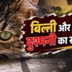 बिल्ली और चूहे की दुश्मनी की कहानी: दोस्ती से शुरू हुआ रिश्ता कैसे बना दुश्मनी में?