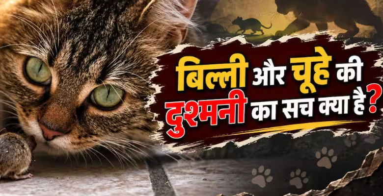 बिल्ली और चूहे की दुश्मनी की कहानी: दोस्ती से शुरू हुआ रिश्ता कैसे बना दुश्मनी में?